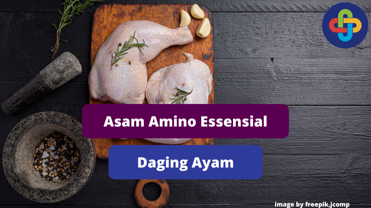 Ketahui Asam Amino Essensial Dalam Daging Ayam